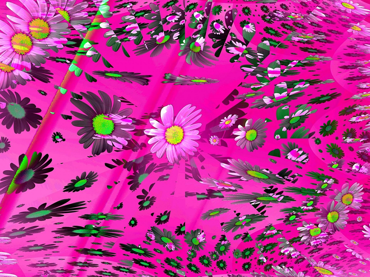 flowers abstract background free photo