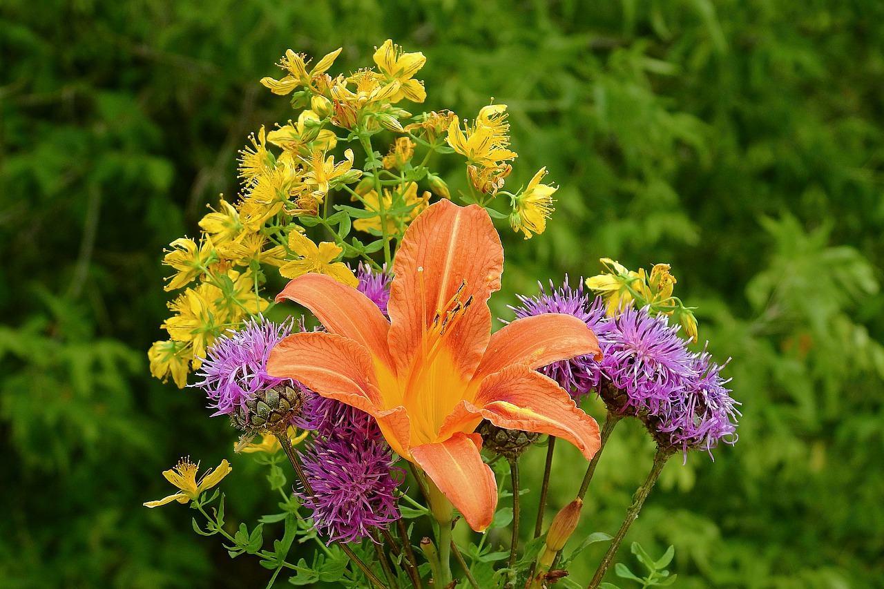 flowers  bouquet  beauty free photo