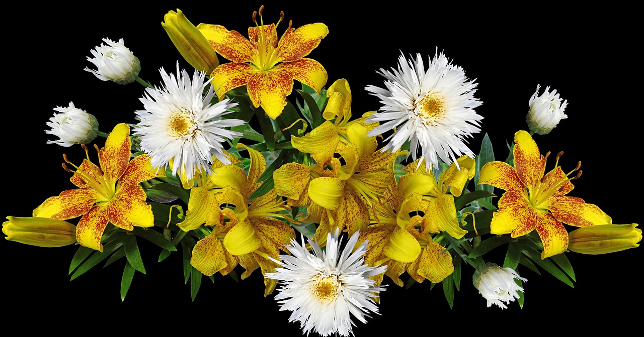 flowers  lilies  yellow free photo