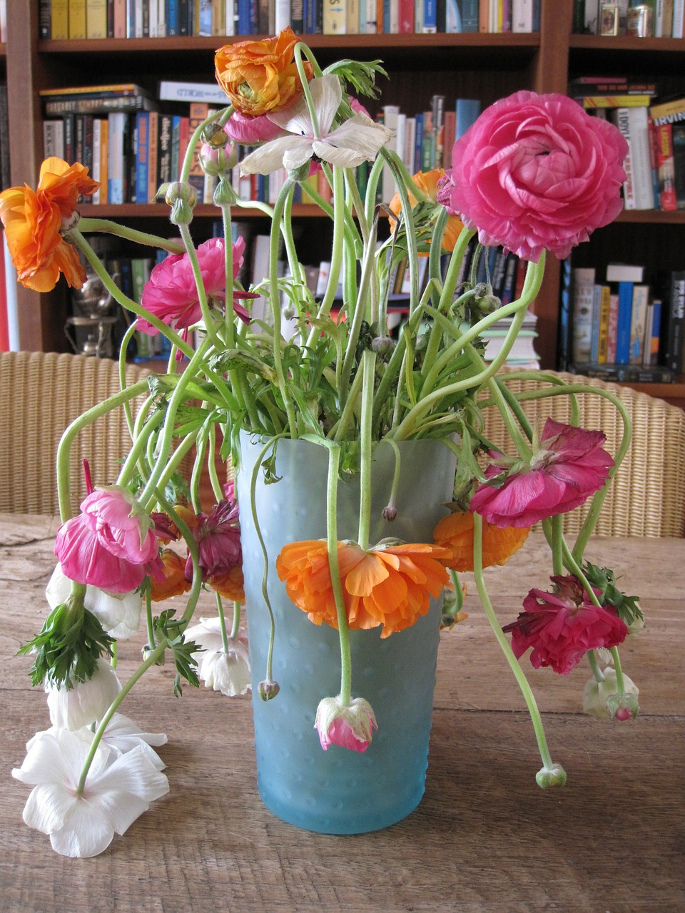 flowers vase perish free photo