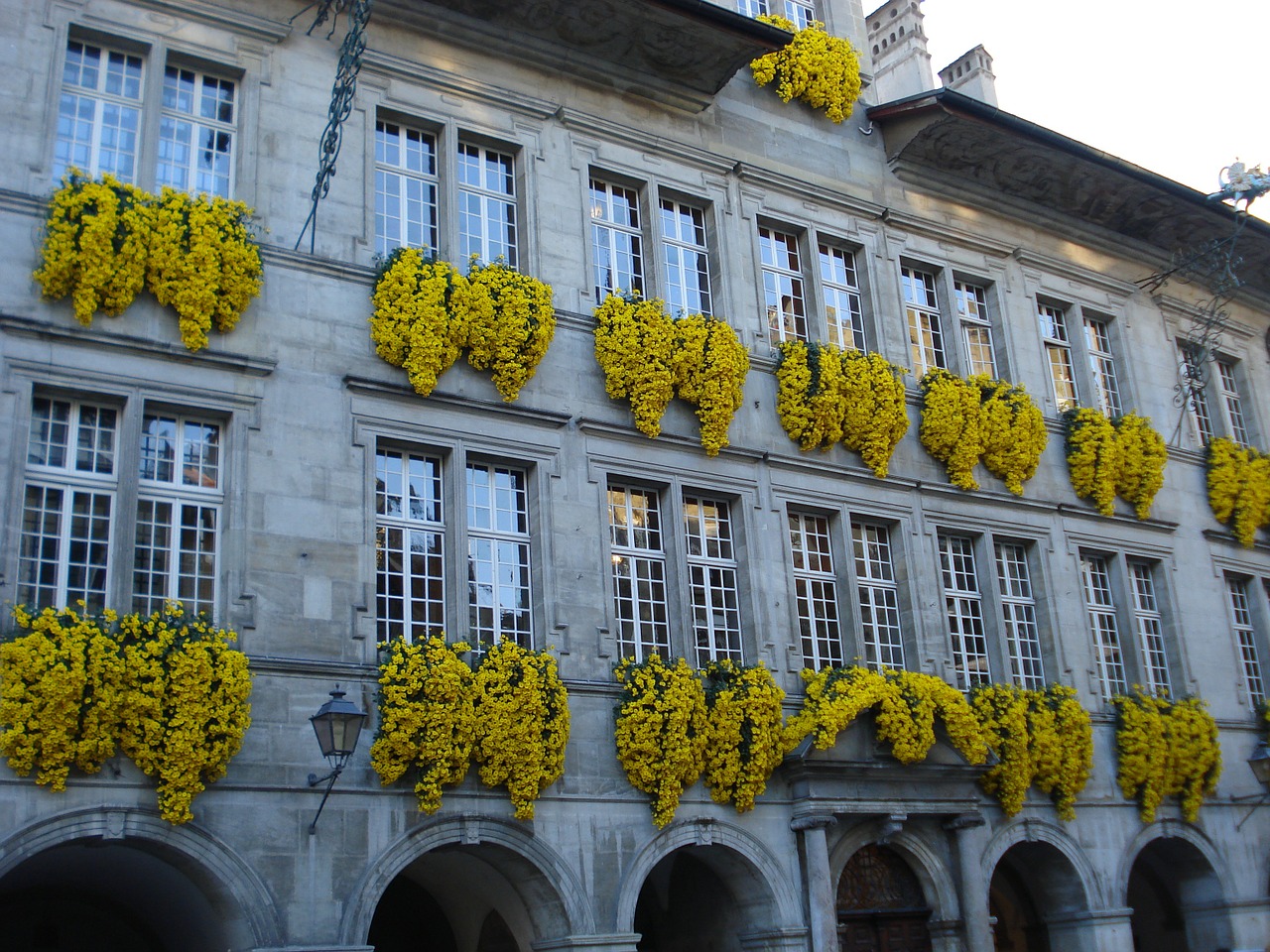 flowers city ​​hall lausanne free photo