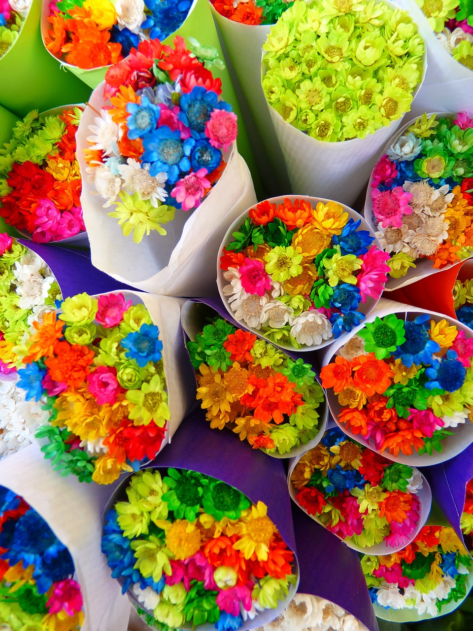 flowers straw flowers colorful free photo