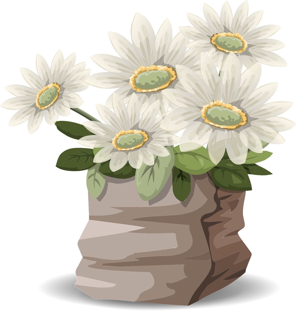 flowers daisies bouquet free photo