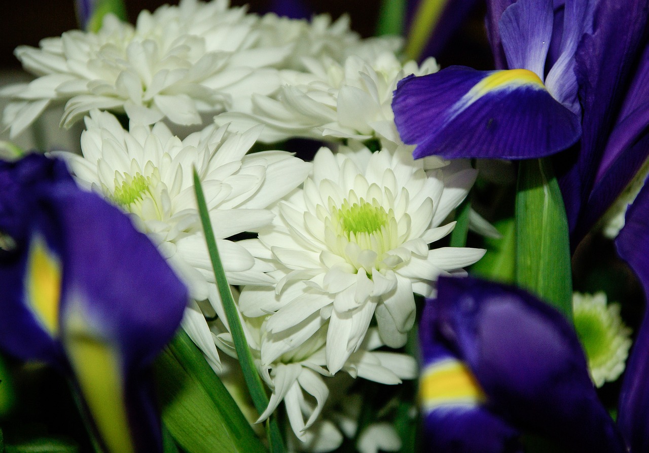 flowers bouquet petals free photo