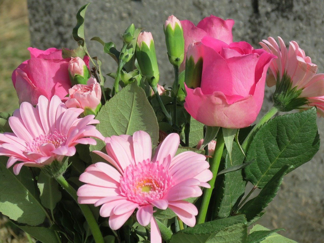 flowers bouquet summer free photo