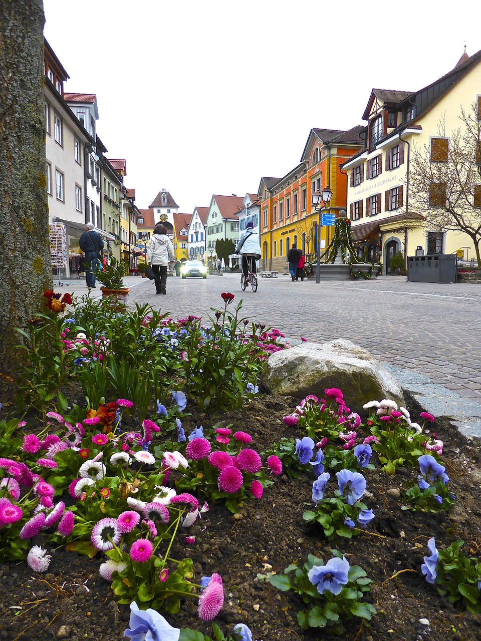 flowers streetscape view free photo