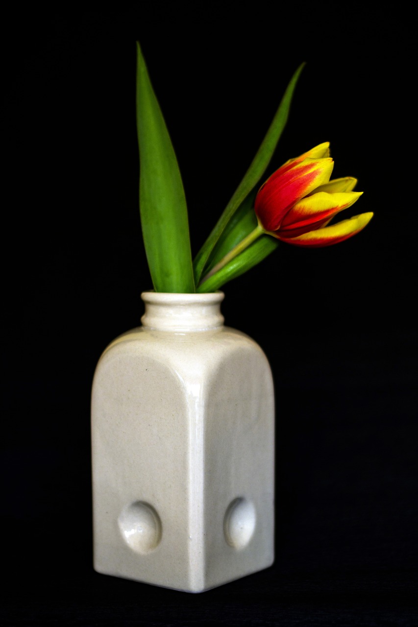 flowers tulips flower vase free photo