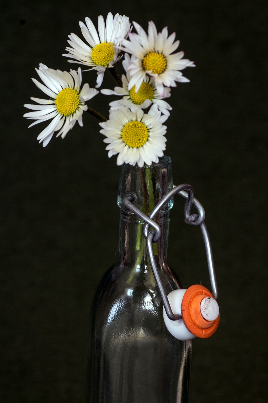 flowers daisy bottle free photo