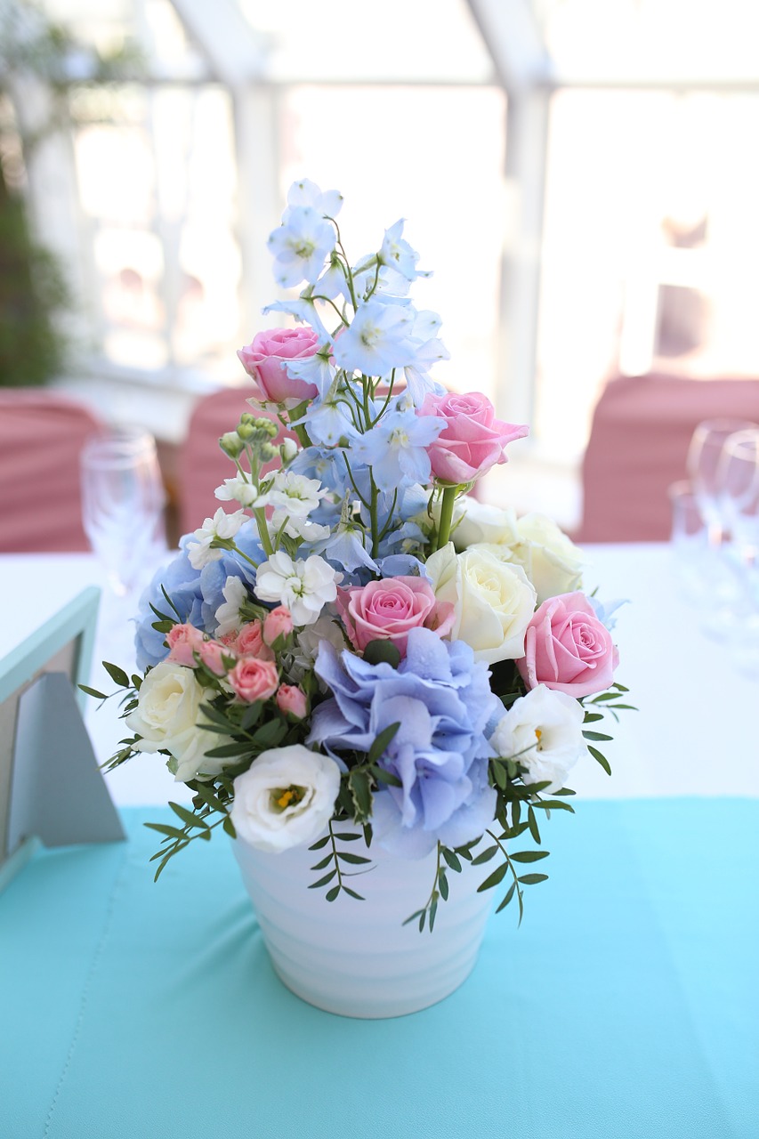 flowers decor hydrangea free photo