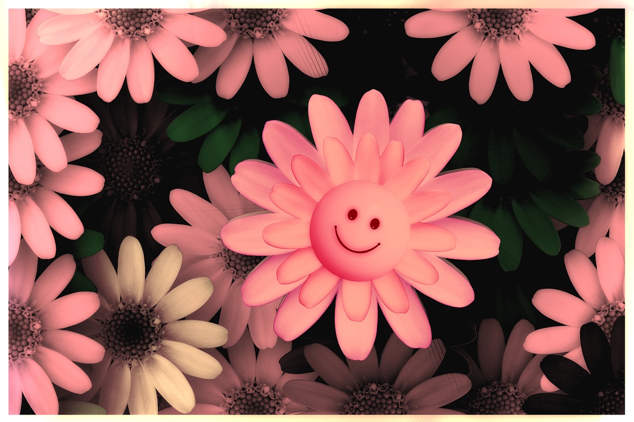 flowers smilie happy free photo