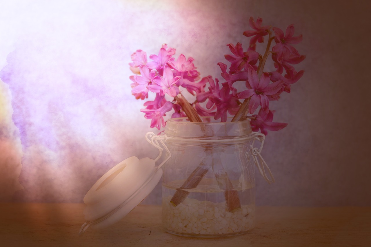 flowers hyacinth pink free photo