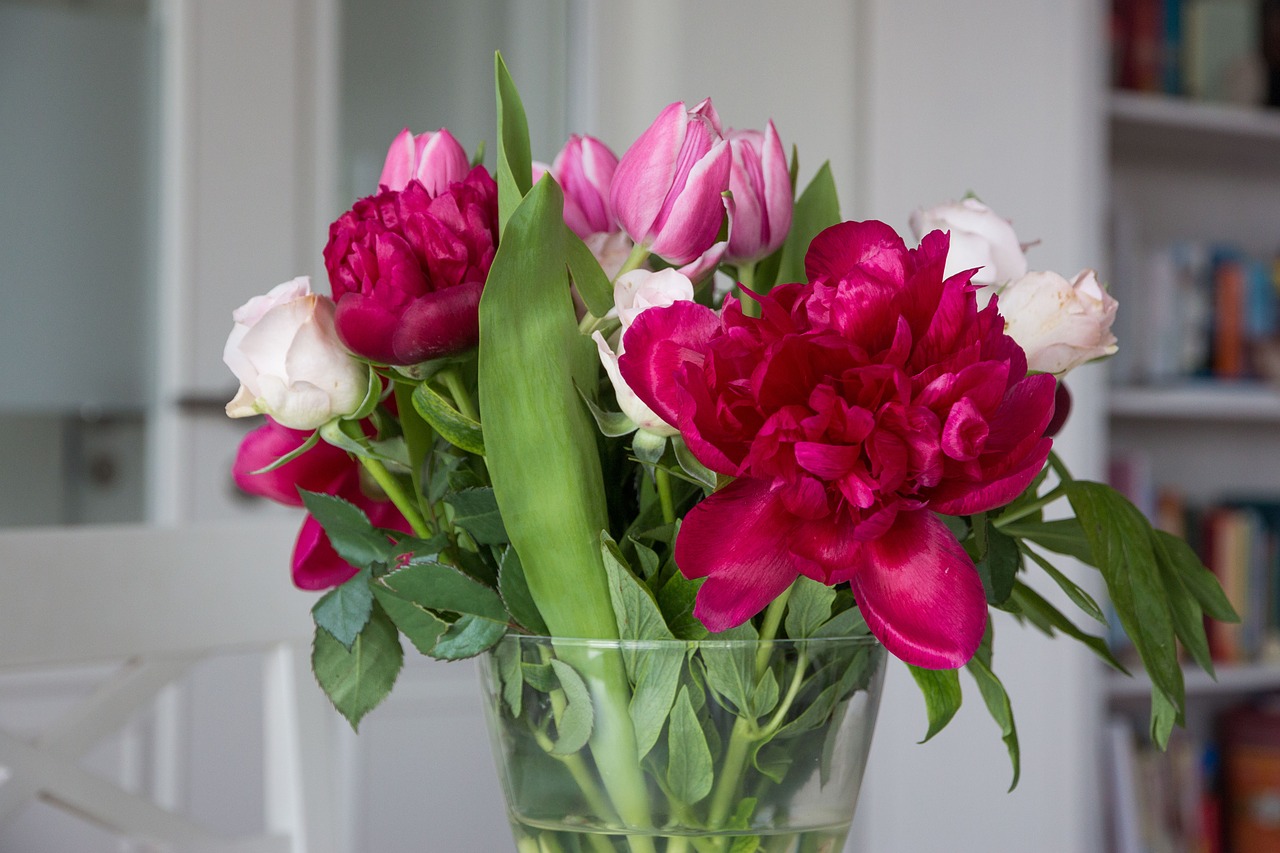 flowers peony tulips free photo