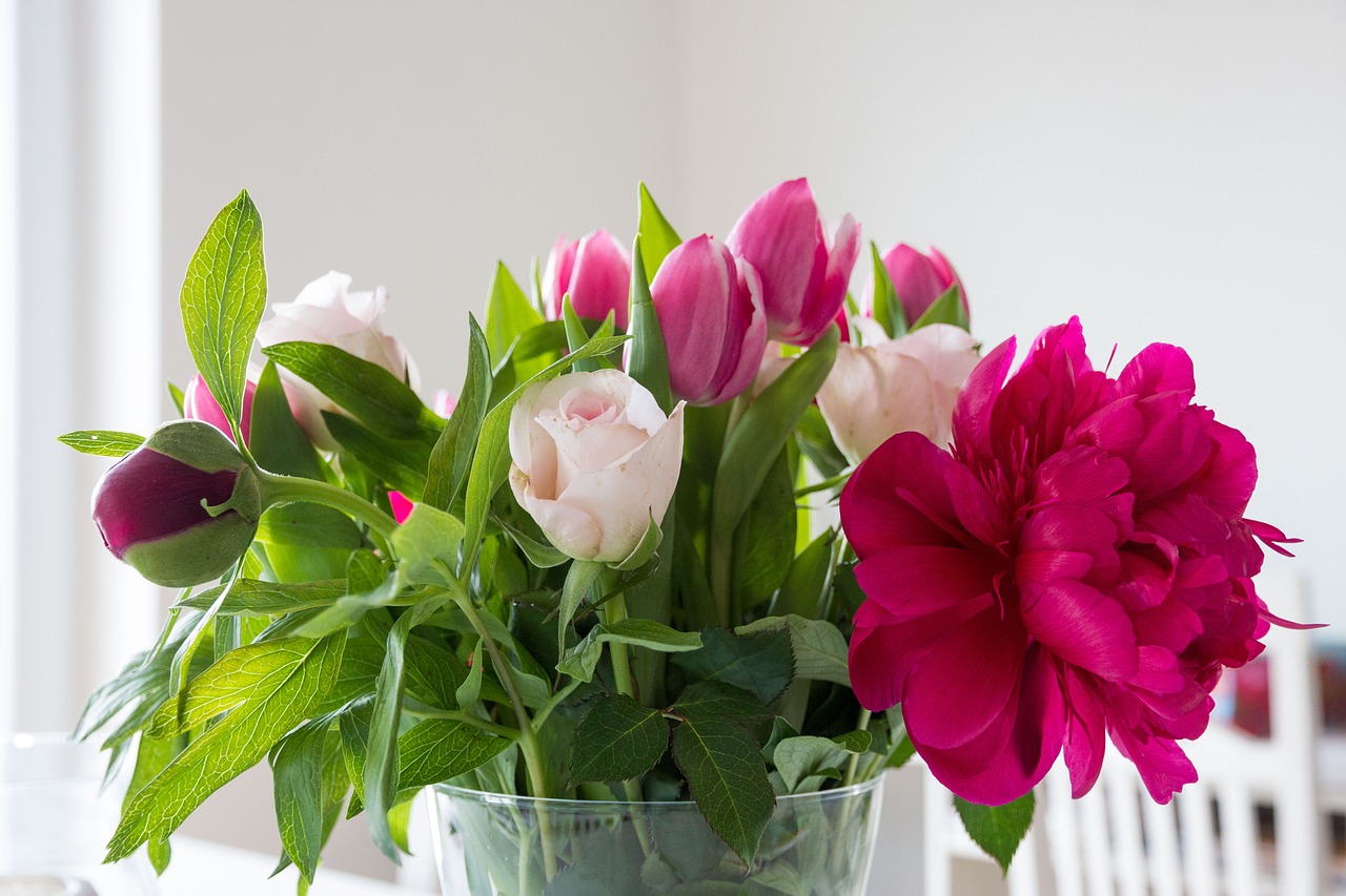 flowers peony tulips free photo