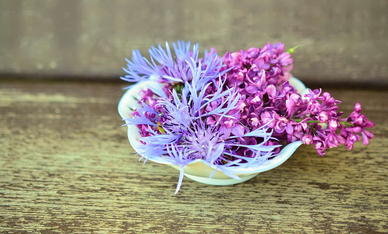 flowers flower bowl wood free photo