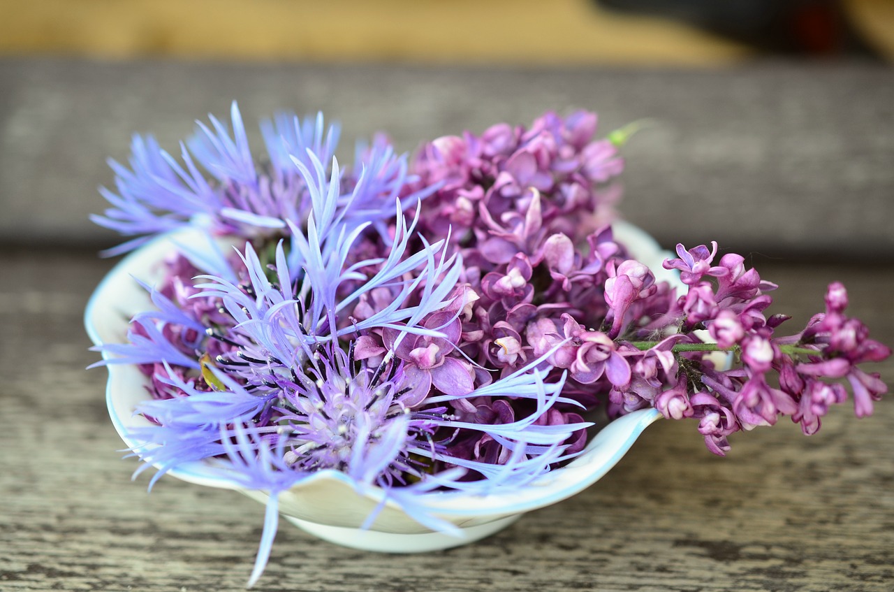 flowers flower bowl hall free photo