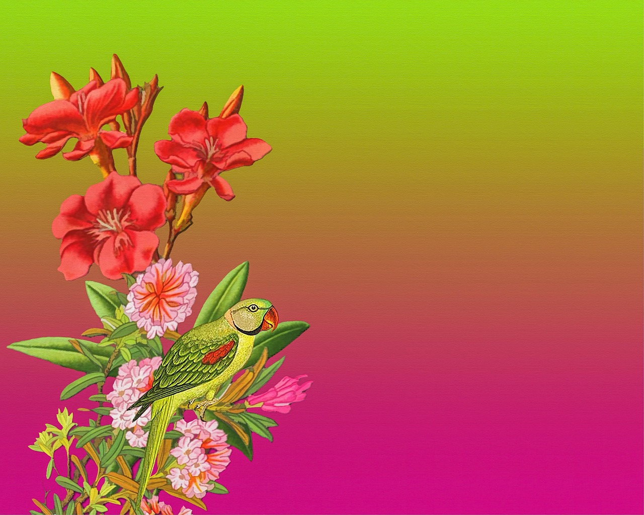 flowers artwork art free photo