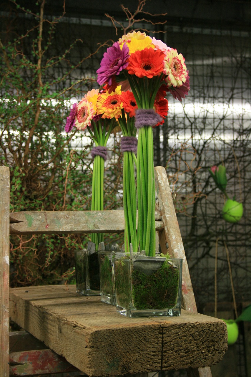 flowers gerbera bouquet free photo