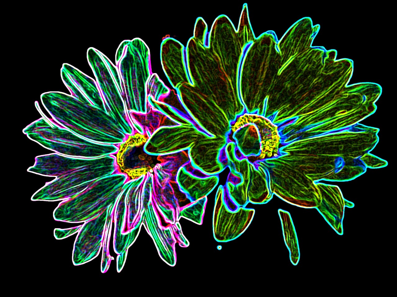 flowers neon green free photo