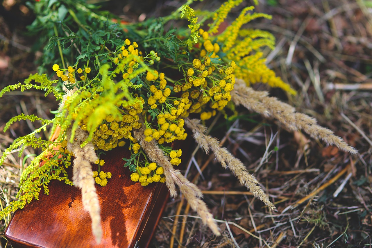 flowers bouquet plants free photo