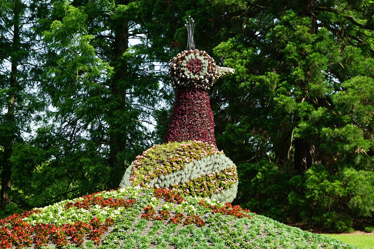 flowers duck mainau free photo