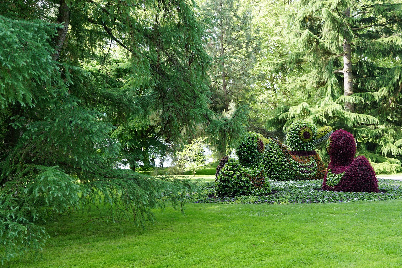 flowers duck mainau free photo