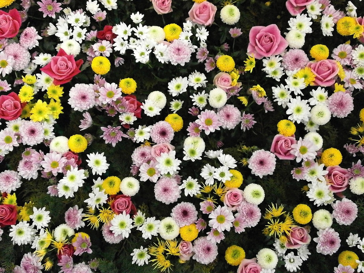 flowers texture flower carpet free photo