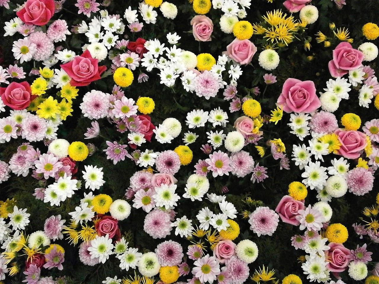 flowers texture flower carpet free photo