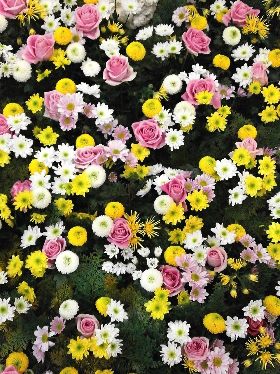 flowers texture flower carpet free photo