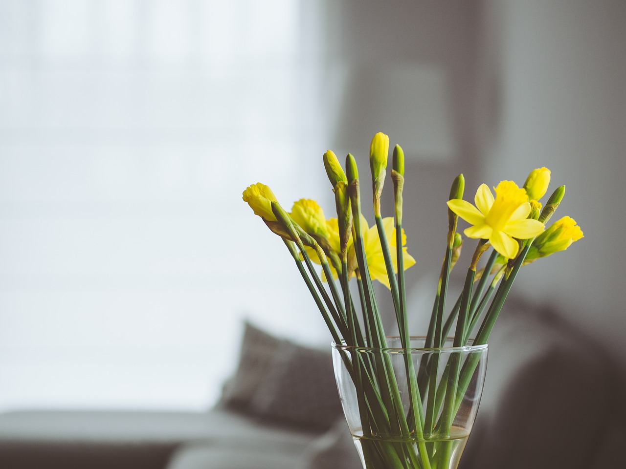 flowers vase interior free photo