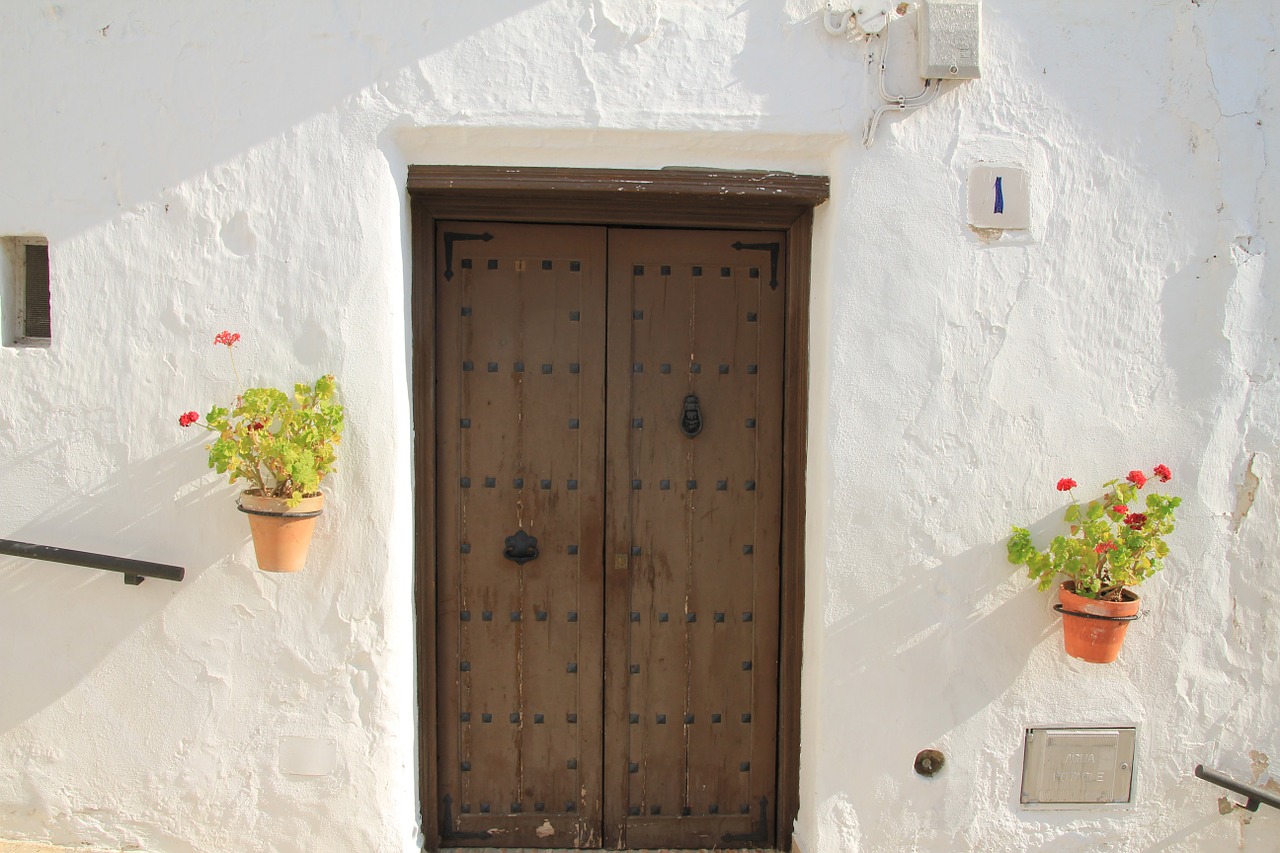 flowers front door white wall free photo