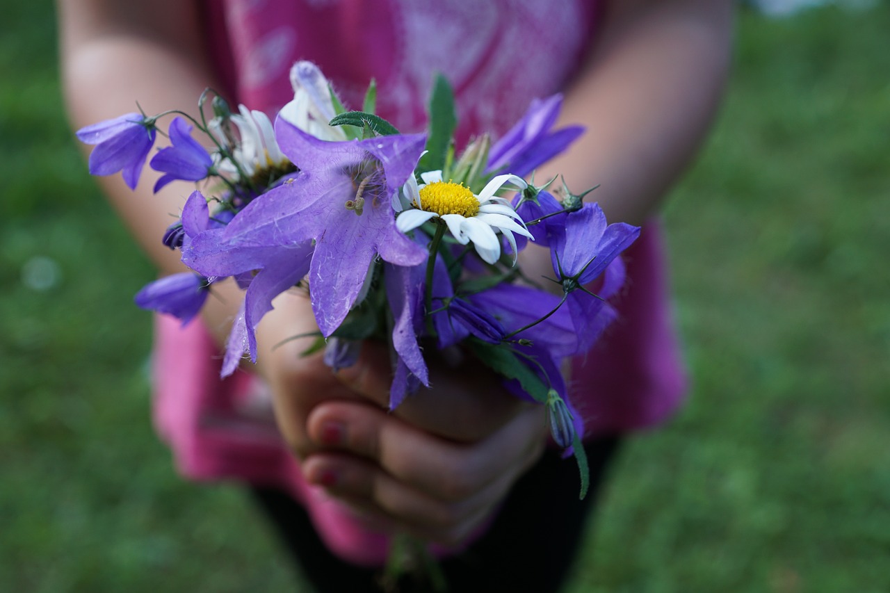 flowers strauss purple free photo