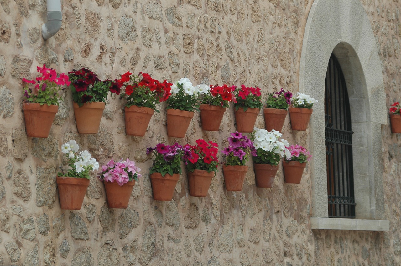 flowers wall mallorca free photo