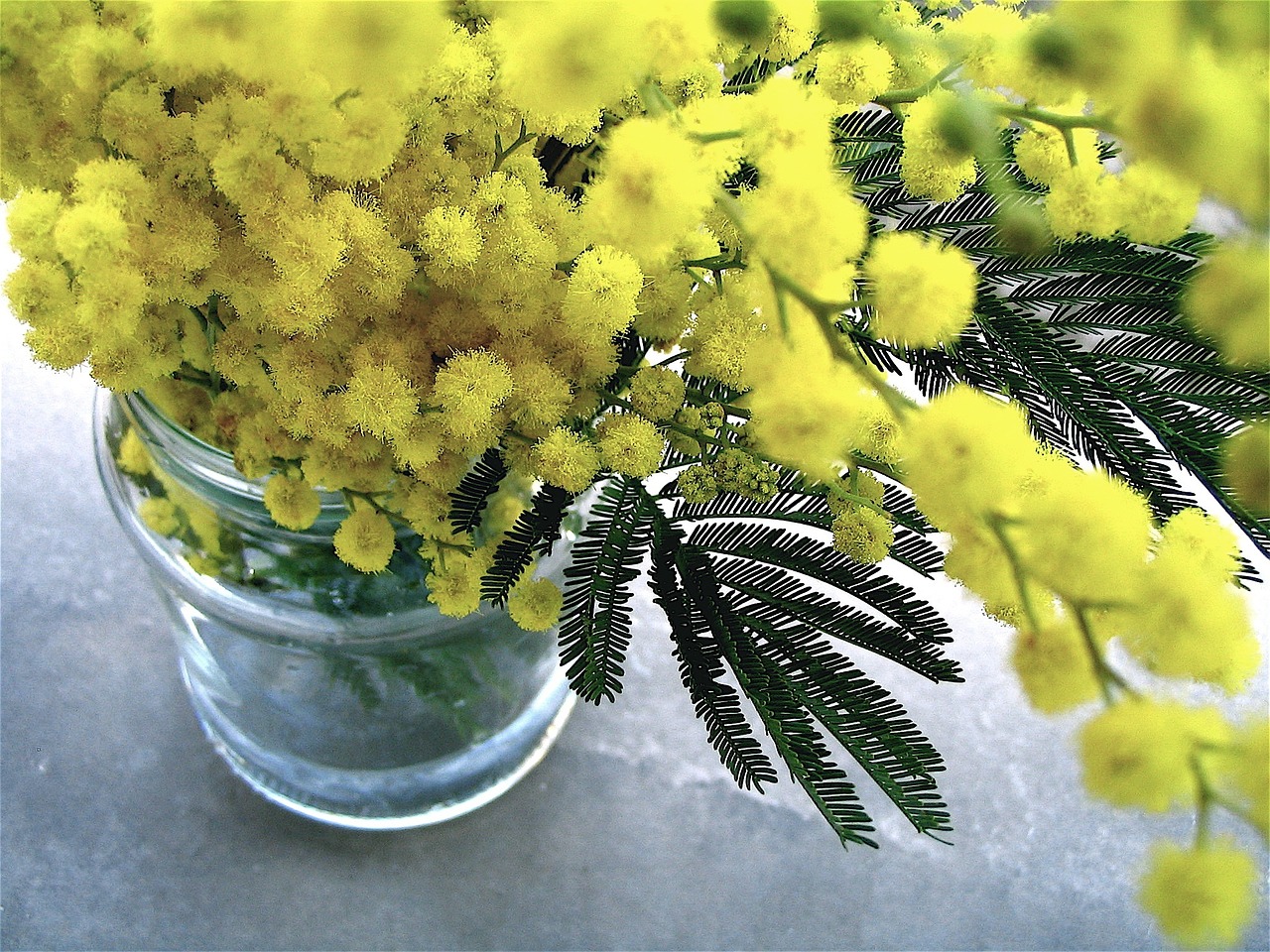 flowers bunch yellow free photo