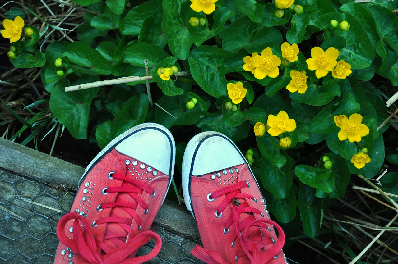 flowers yellow shoes free photo