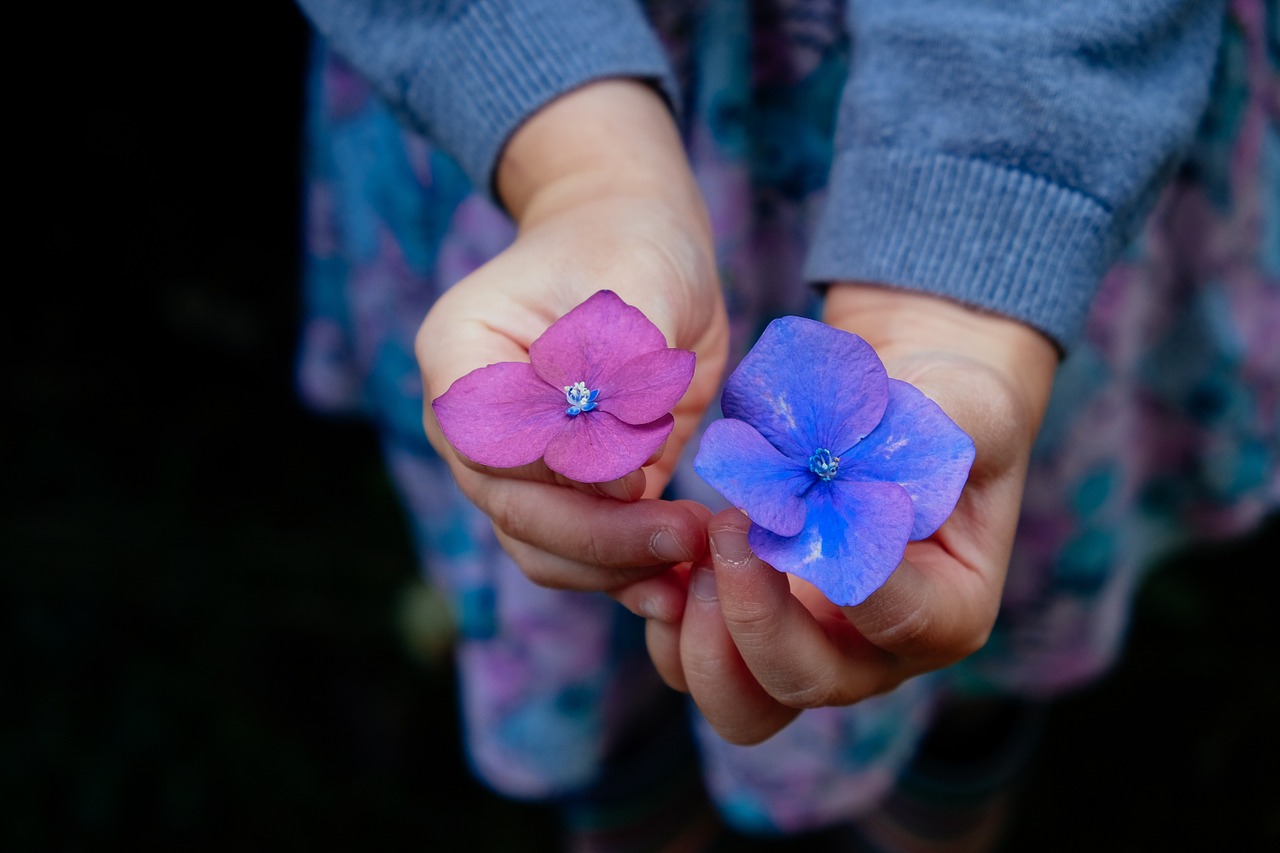 flowers hands holding free photo