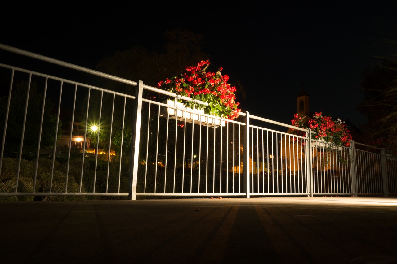 flowers night photograph railing free photo