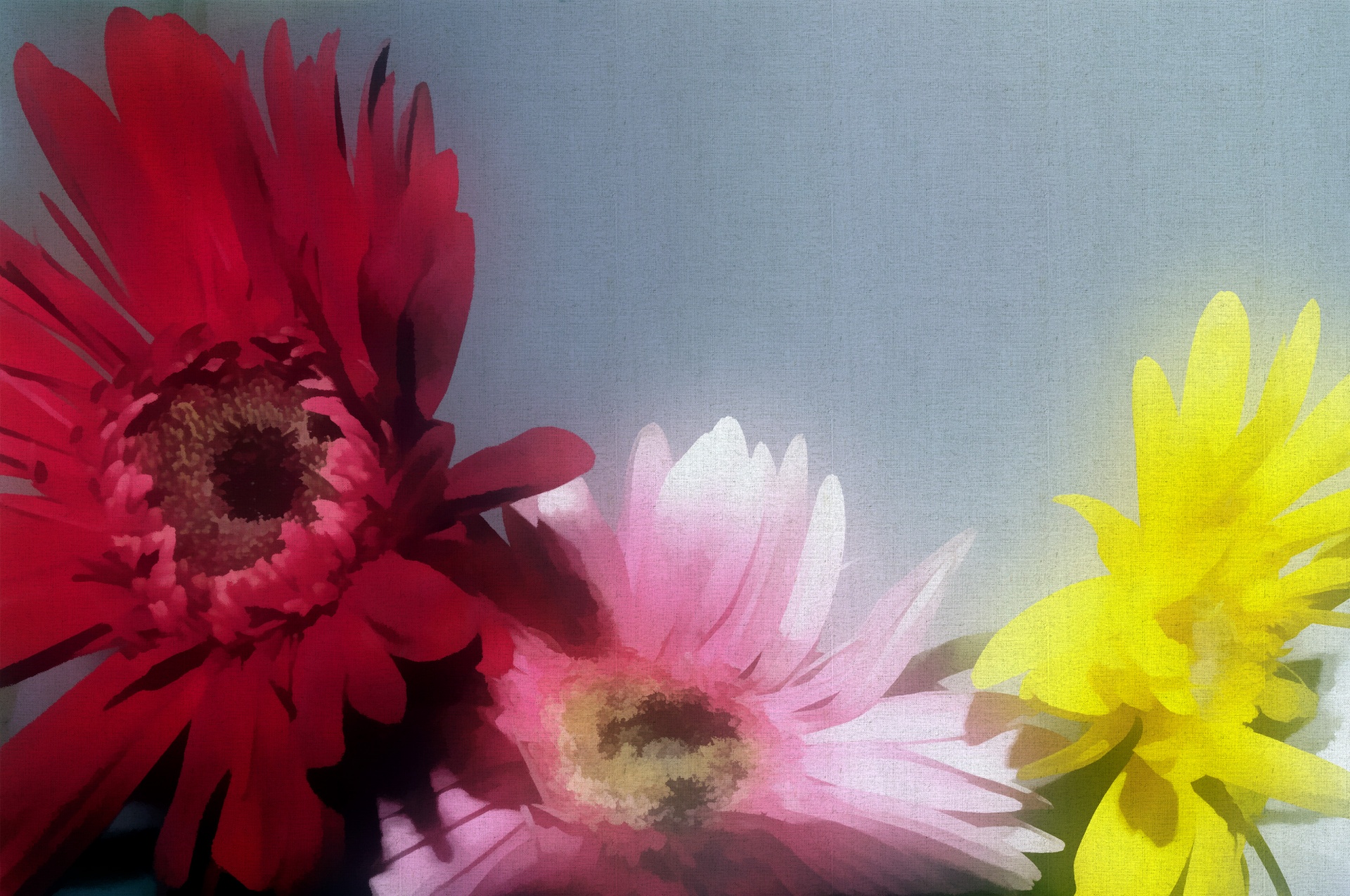 flowers artistic effect free photo