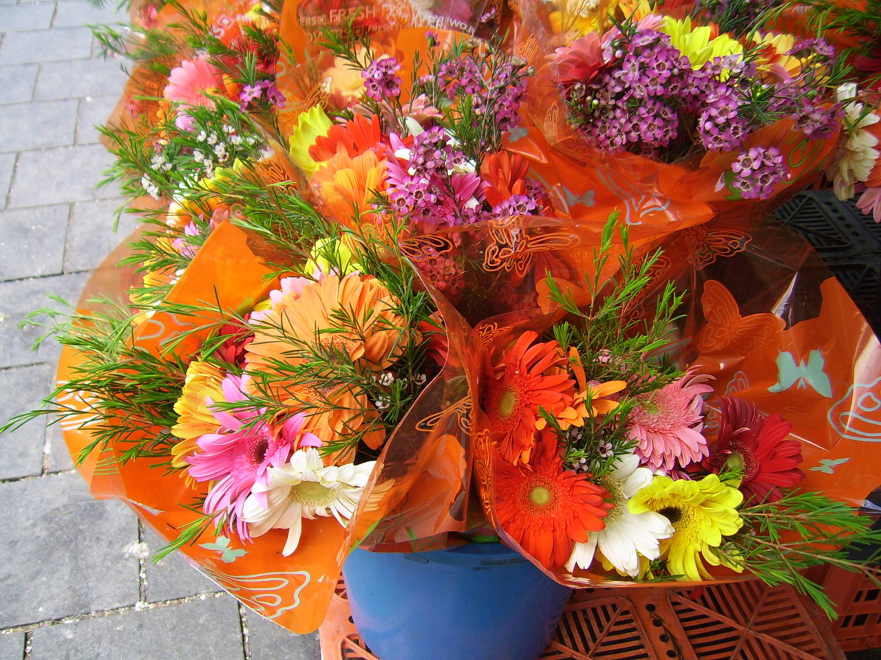 flowers sale flowers for sale free photo