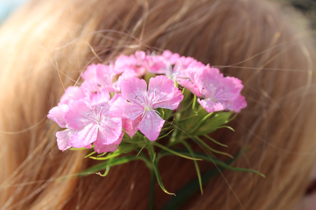 flowers in her hair pink small flowers free photo