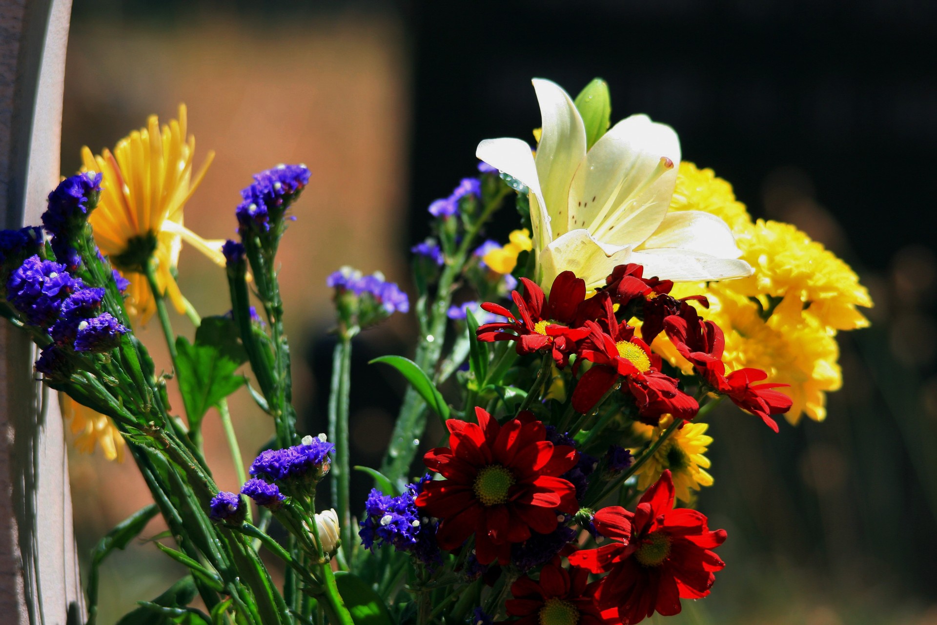 flowers colourful cemetery free photo