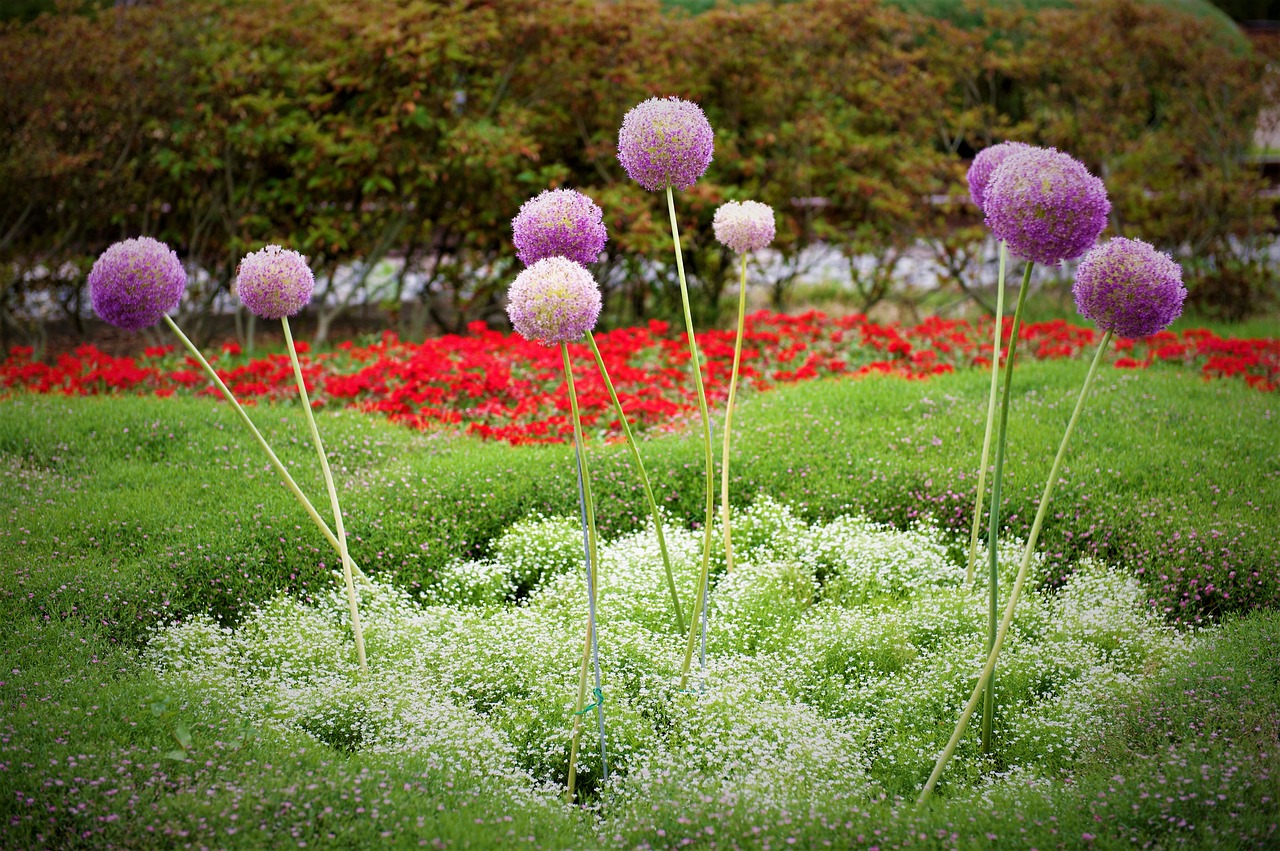 flowers peaks  garden  landscape free photo