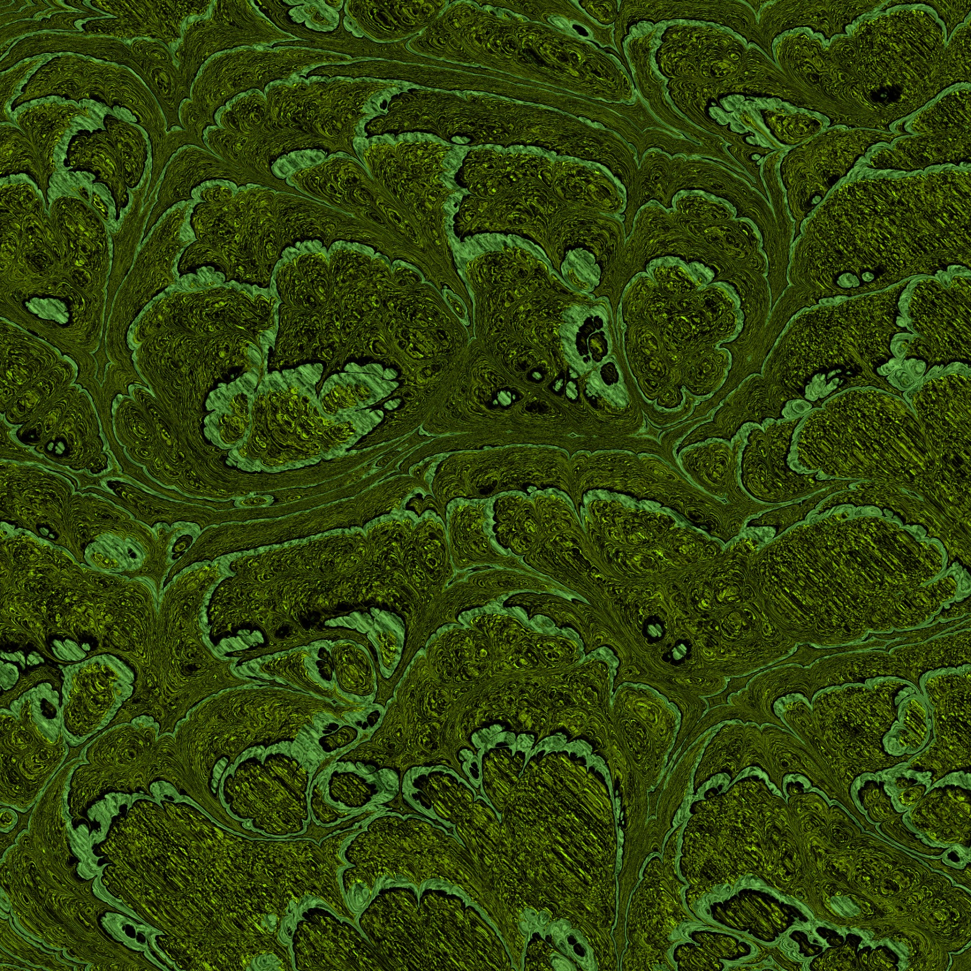 green fractal background free photo