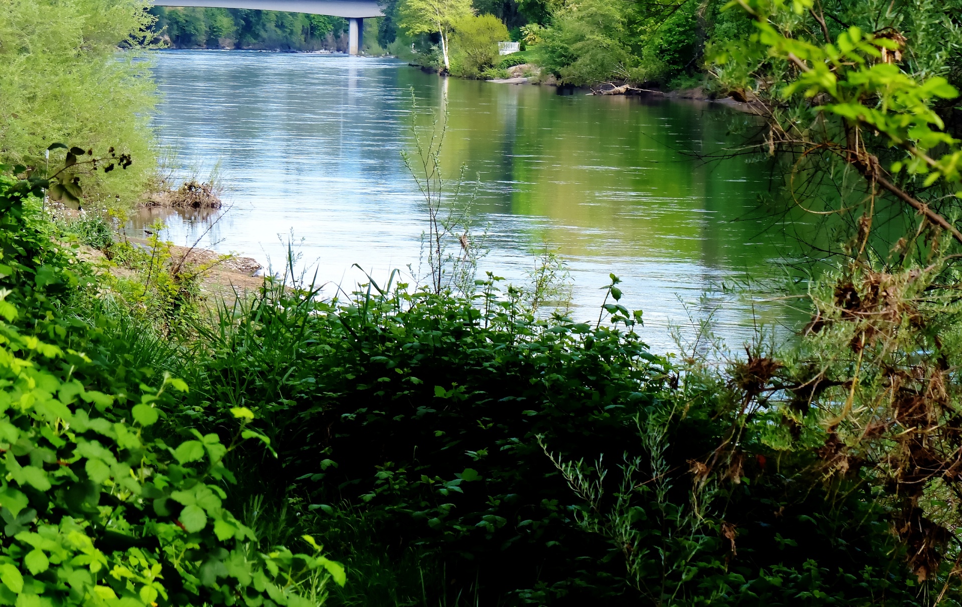 river oregon flow free photo