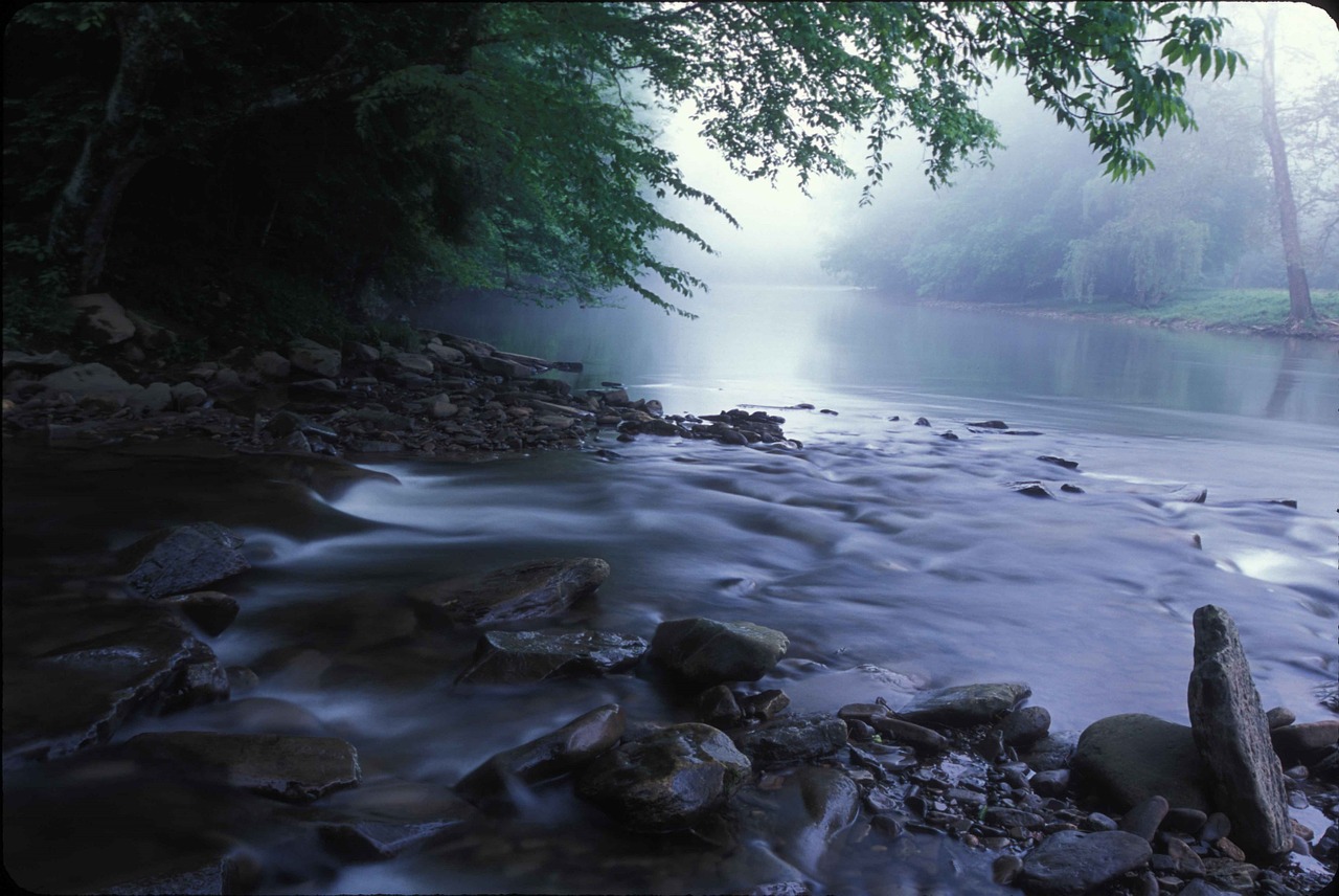flowing water stream wilderness free photo
