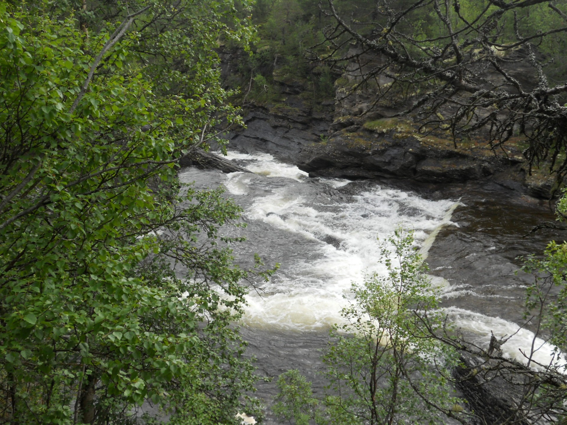 river nature flowing free photo