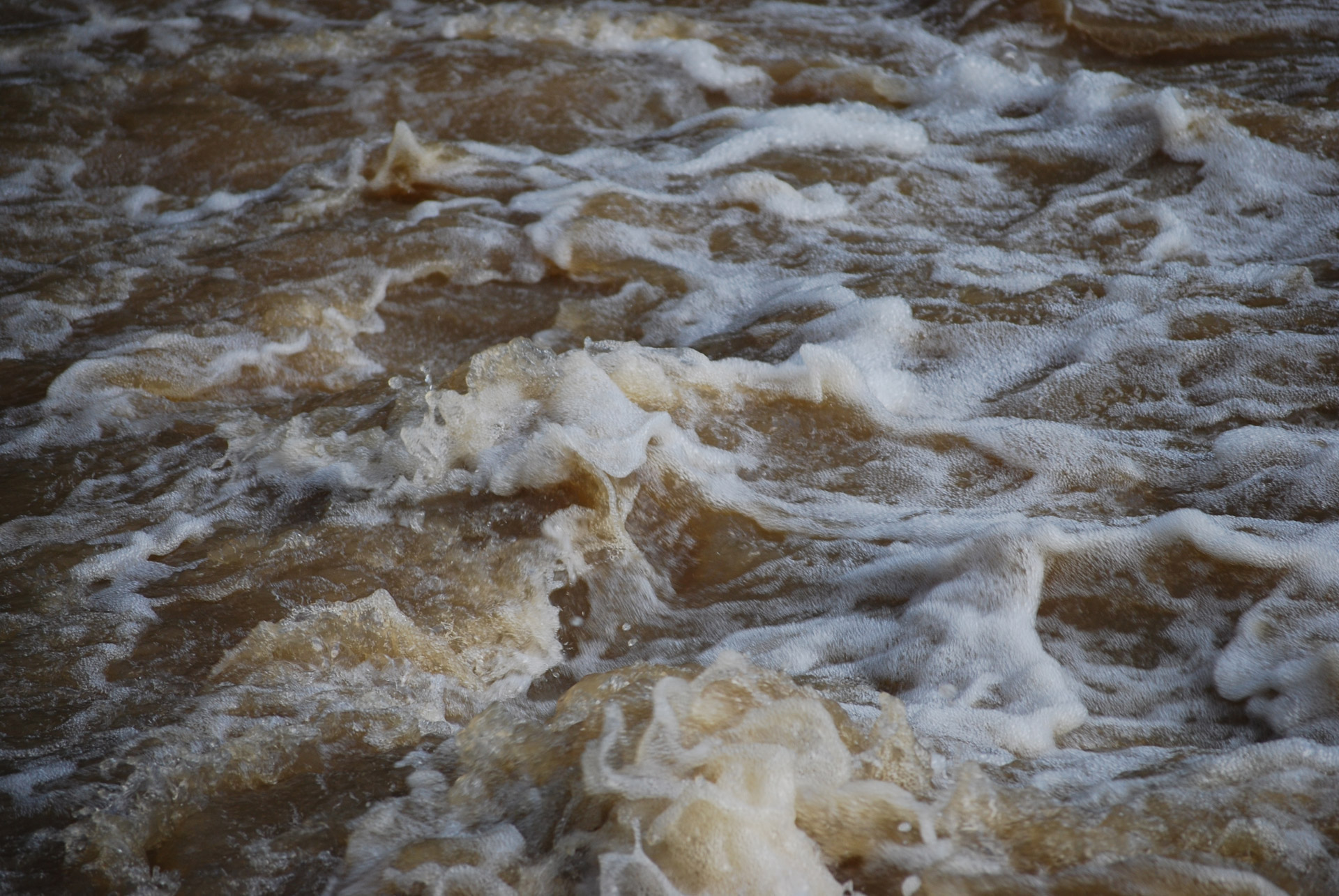 creek flowing water flowing water free photo