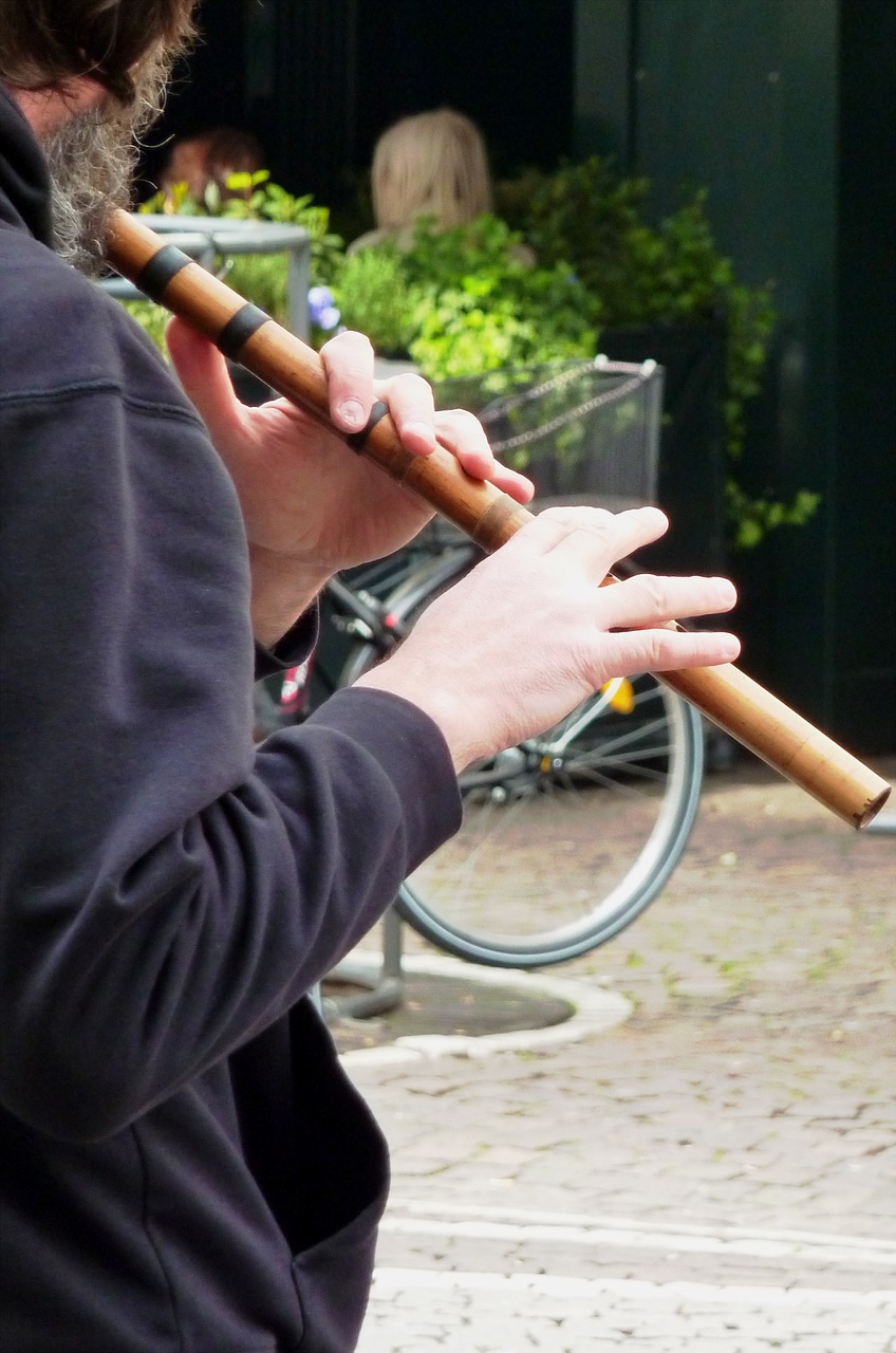 flute flute game flautist free photo
