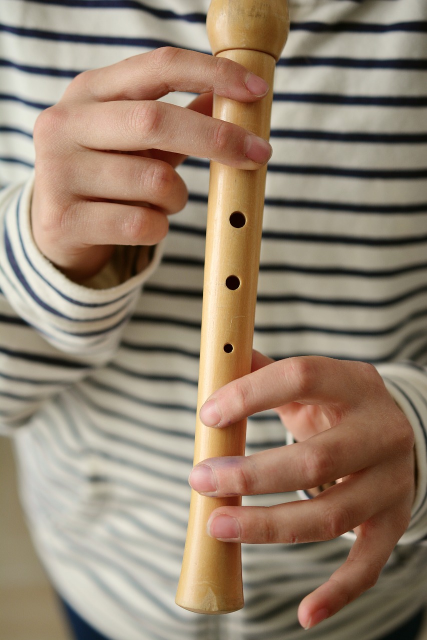 flute recorder play the flute free photo