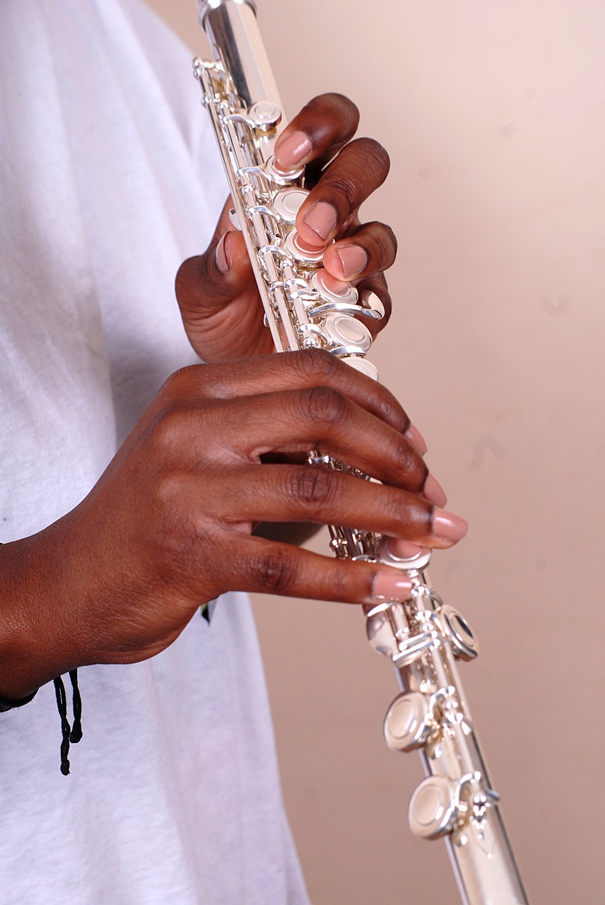 flute silver playing free photo