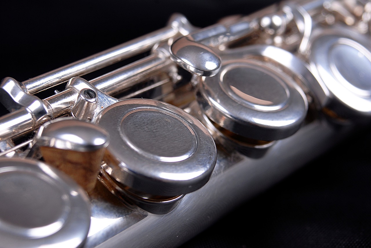 flute keys shiny free photo